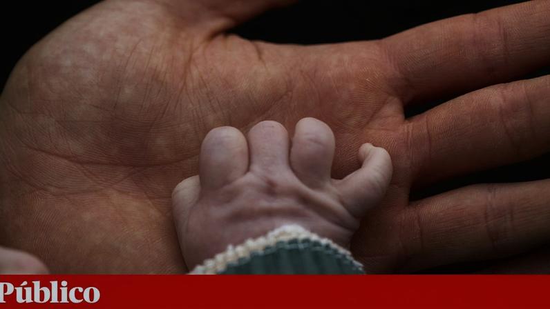 Proposta volta à solução inicial apresentada em Julho do ano passado
