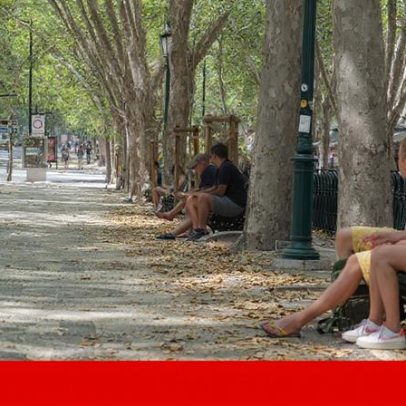 Cobertura de árvores ideal de 30% ainda distante em Lisboa