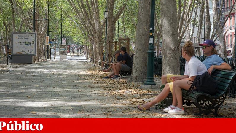 A arborização urbana constitui uma intervenção de saúde pública