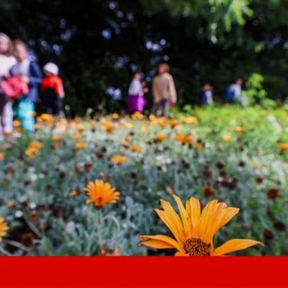 Festival de ciência-cidadã chega à Figueira da Foz neste sábado