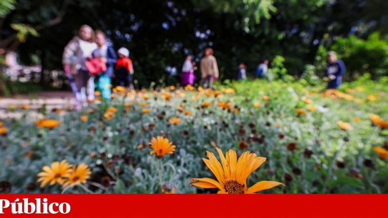 Há projectos de ciência que pedem ajuda à população para, por exemplo, fotografar os insectos que polinizam as flores