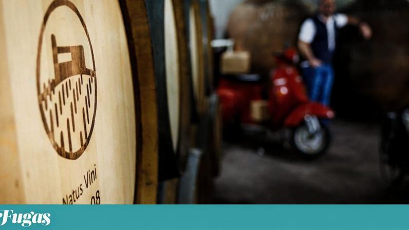 A Natus Vini é o projecto pessoal do enólogo Hamilton Reis, na Vidigueira