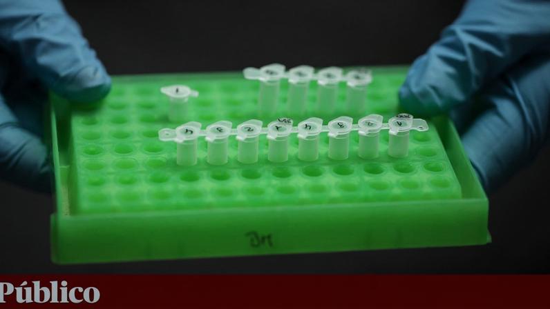 Teste genético pode acelerar tratamento do câncer da bexiga metastático
