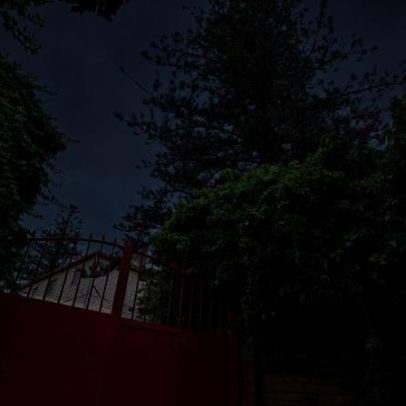 Projeto com corte de árvores em mosteiro do Lumiar aprovado por Moedas acumula queixas