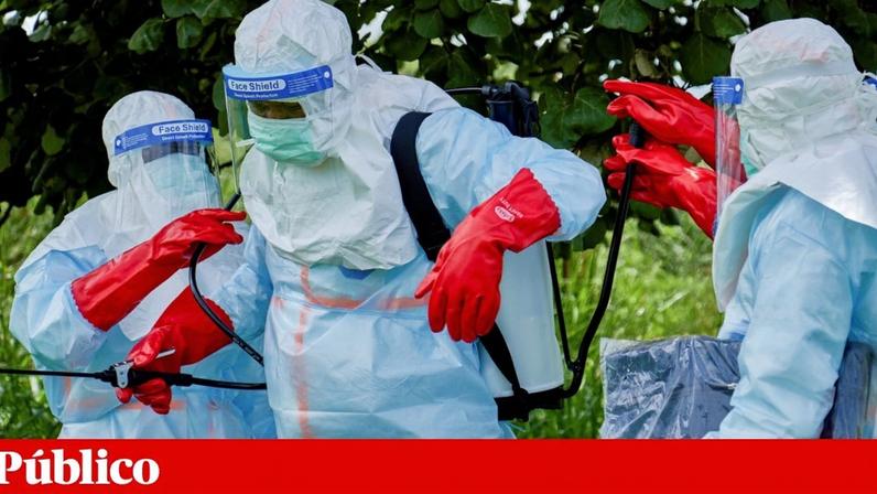 Vacinas e tratamentos contra o Ébola Bundibugyo em desenvolvimento