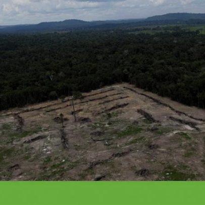 Brasil registra desflorestação inferior a 1 milhão de hectares em 2025