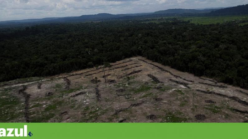 Na Amazónia, foram destruídos 289.478 hectares de vegetação nativa em 2025