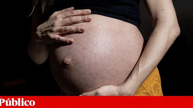 Diploma sobre novos estatutos do Conselho Nacional de Procriação Medicamente Assistida deixa cair menções às "barrigas de aluguer"