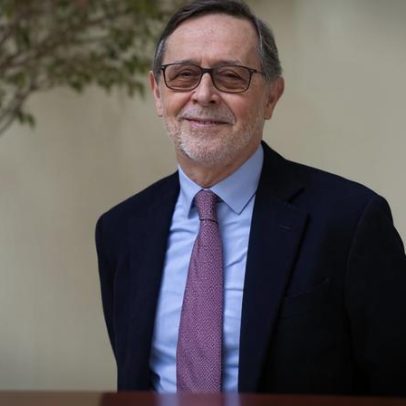 Conselho de PMA critica retirada de competências sobre gestação de substituição