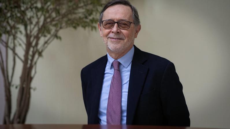 Conselho de PMA critica retirada de competências sobre gestação de substituição