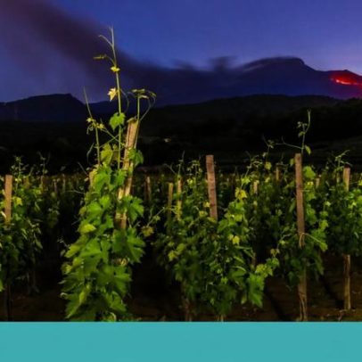 Da Marsala ao Etna: a Sicília presente num copo de vinho