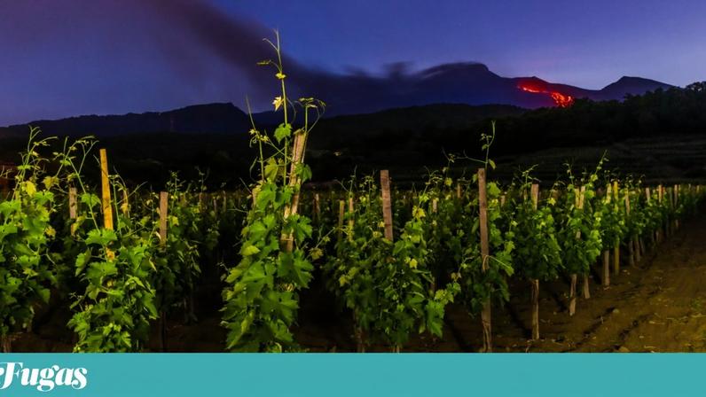 Da Marsala ao Etna: a Sicília presente num copo de vinho
