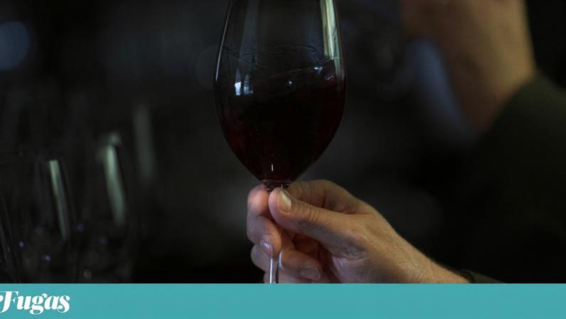 Análise a As provas cegas, Reserva Especial e O Estrangeiro