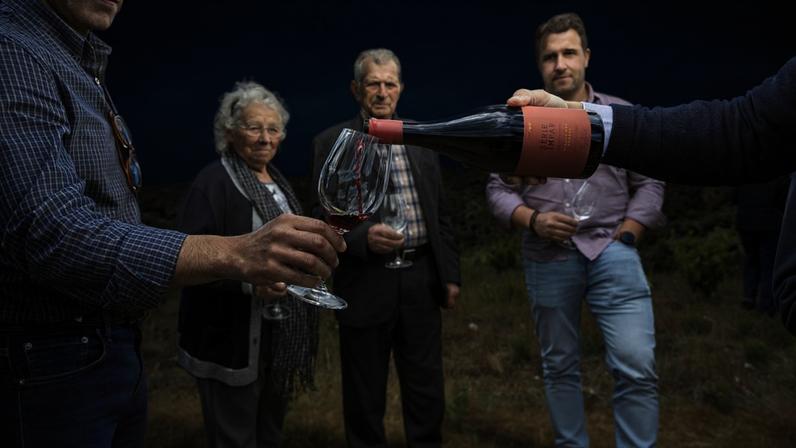 Os homens e mulheres que produziram as uvas que deram o Vinhas dos Homens