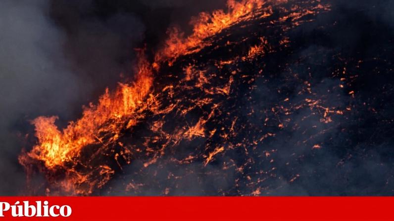 Incêndio em mata de Arouca mobiliza 130 operacionais e 5 aviões