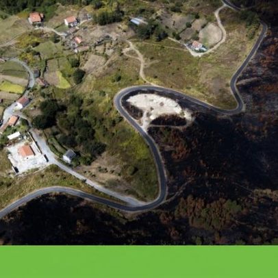 Estudo aponta Gerês-Xurés como território promissor para nova floresta primária