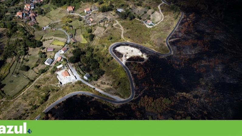 Estudo aponta Gerês-Xurés como território promissor para nova floresta primária
