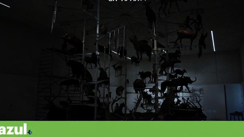 Exposição em Lisboa questiona o papel dos humanos no planeta