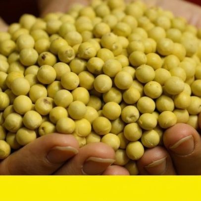 PIB cresce 1,1% no 1º trimestre com impulso do consumo e agro