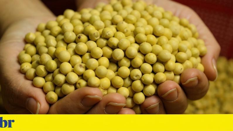 PIB cresce 1,1% no 1º trimestre com impulso do consumo e agro