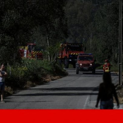 Dezenas de operacionais combatem incêndio em Campeã, Vila Real