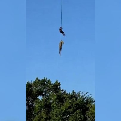 Português encontrado no estômago de crocodilo de quatro metros