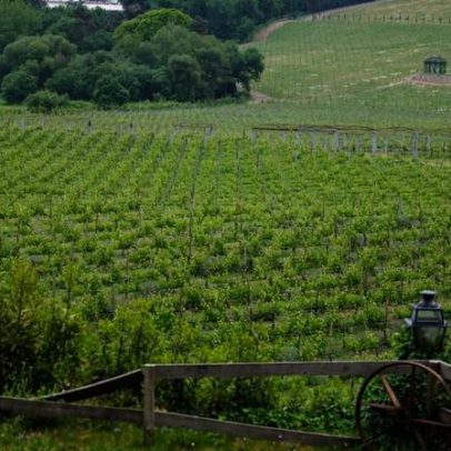 Quinta Linhas da Primavera, em Guimarães, revela amor à terra