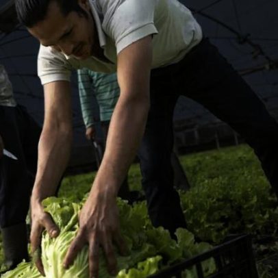 Imigrantes podem travar o colapso económico de Portugal, aponta estudo