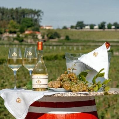 Guimagold Luxury Experience apresenta Guimarães entre vinhas e história