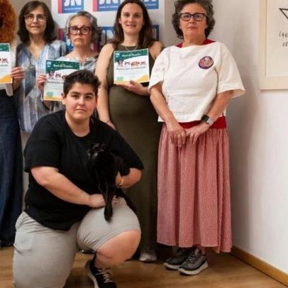Associação JN Solidário distingue amor a cães e gatos