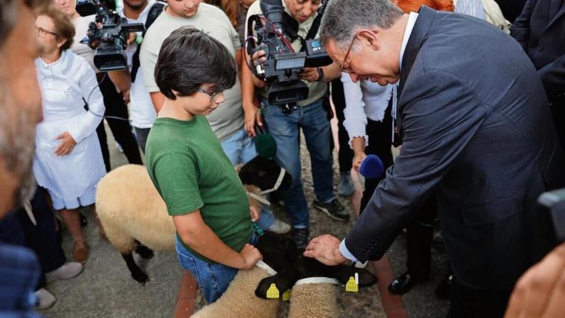 Seguro na Ovibeja entre ovinos em defesa dos agricultores