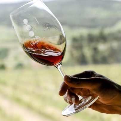 Douro oferece escapadinha com vinhos frescos e estadias rurais