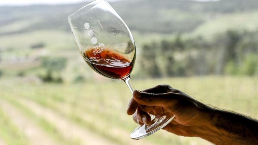 Douro oferece escapadinha com vinhos frescos e estadias rurais