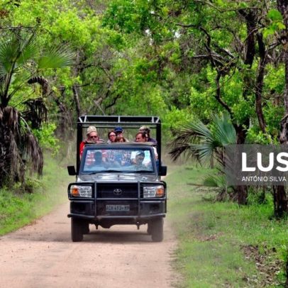 Parque da Gorongosa presta serviços de saúde a mais de 160 mil pessoas