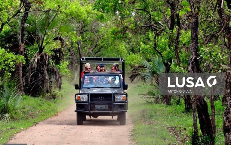 Parque moçambicano da Gorongosa prestou serviços de saúde a mais de 160 mil pessoas