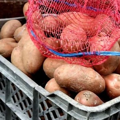 Português consumiu quase 95 kg de batata em 2025