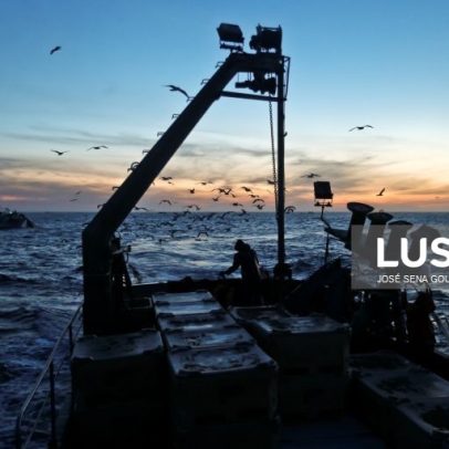 Frota portuguesa captura 0,7% de pescado, totalizando 166.872 t em 2025 (INE)