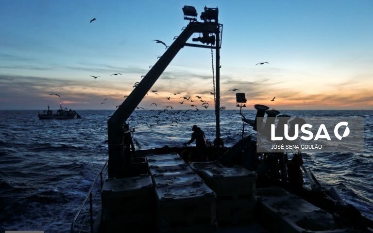 Frota portuguesa captura mais 0,7% de pescado atingindo 166.872 toneladas em 2025 - INE