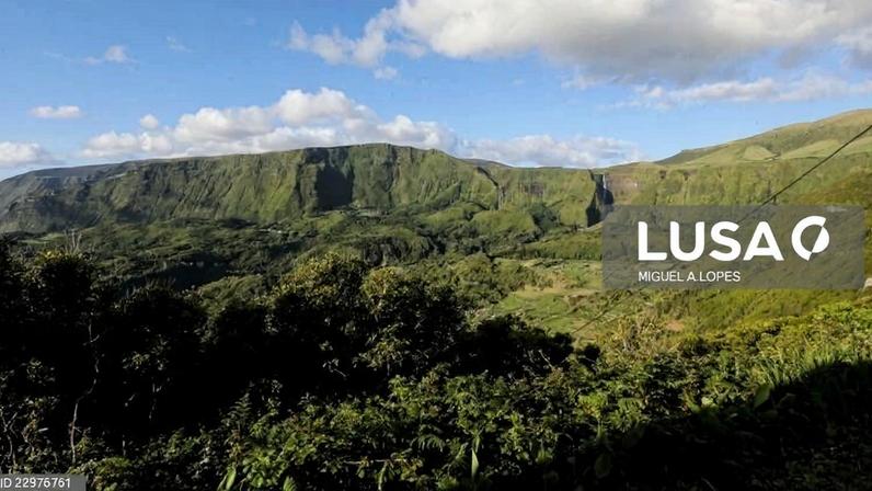 Três detidos com 42 mil doses de haxixe na Ilha das Flores