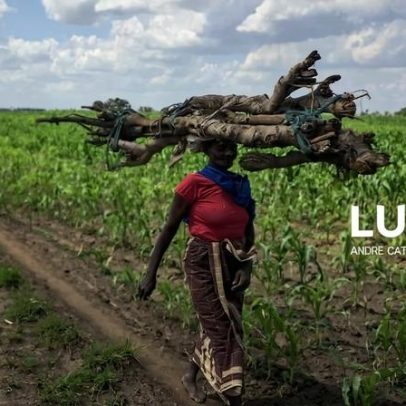 Moçambique tem mais de 6,5 milhões de hectares cultivados, diz ministro
