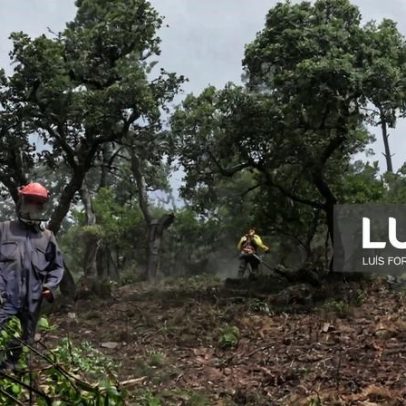Apoio de até 1.500 euros para limpar terrenos chega a mais quatro concelhos