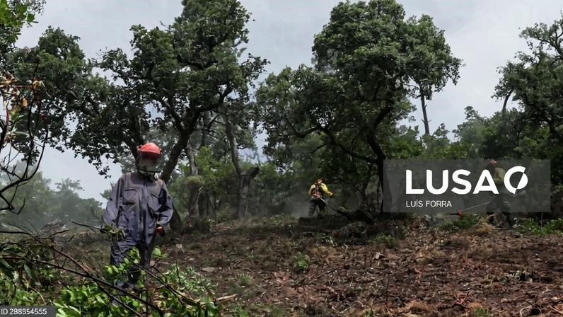 Apoio até 1.500 euros para limpar terrenos alargado a mais quatro municípios