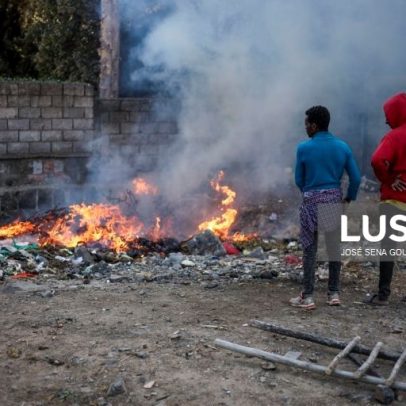 Queimadas descontroladas destroem 600 hectares de floresta em Moçambique