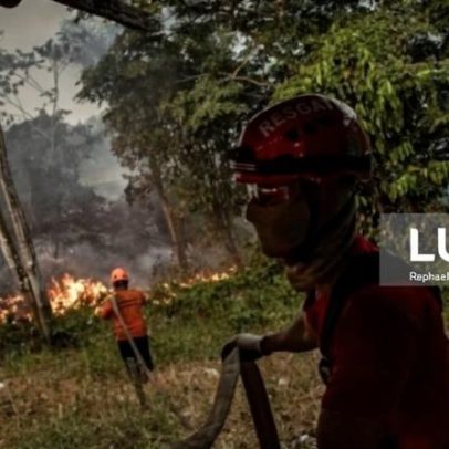 Desflorestação no Brasil cai para abaixo de um milhão de hectares em 2025