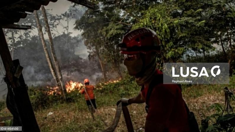 Desflorestação no Brasil pela primeira vez abaixo de um milhão de hectares em 2025