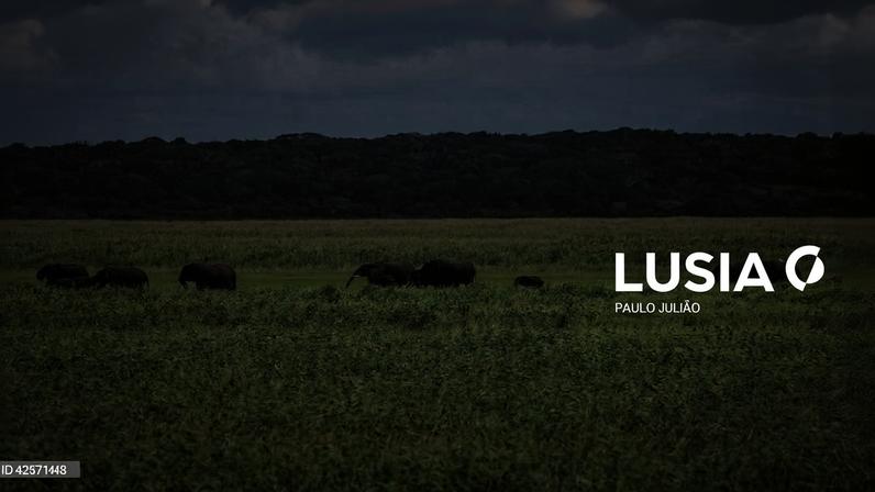 Animais selvagens devastam 12 mil hectares agrícolas no sul de Moçambique