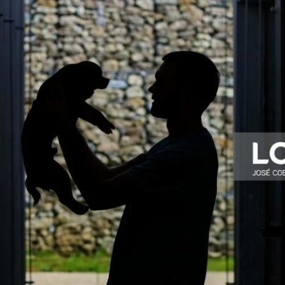 Veterinários pedem IVA diferente para serviços de animais de companhia