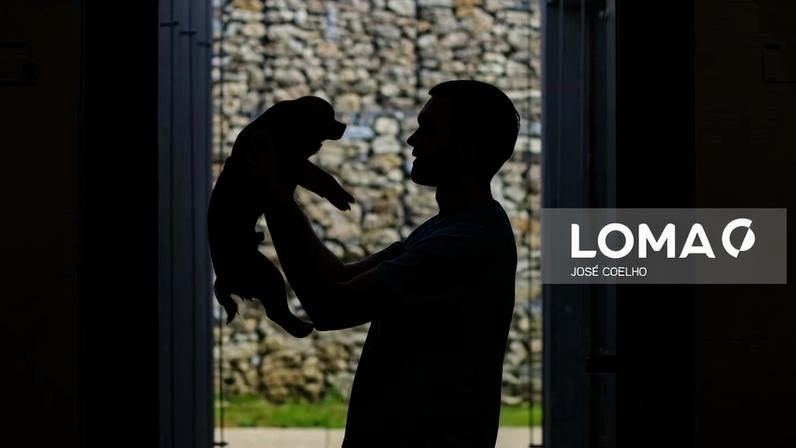 Médicos veterinários lançam petição pela alteração do IVA nos serviços de animais de companhia