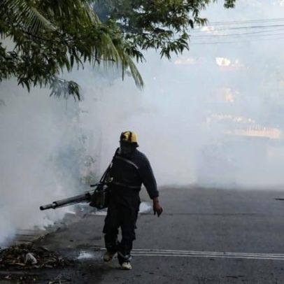 Chikungunya pode alcançar regiões temperadas com aquecimento global