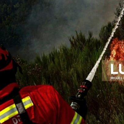 Cerca de um terço de Portugal em risco alto e muito alto de incêndio rural, INE